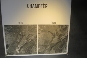 79B2EDF7-E870-4255-80AA-C927BA2BBD2B_1_105_c