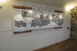 7C8B4F6B-A664-44DA-A221-DA219C5457BB_1_105_c